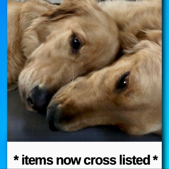 Smoke free/Pet friendly💛 - Picture 7 of 16